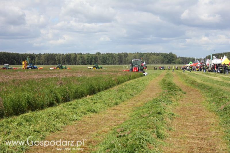 Pokazy maszyn Polskie Zboża Zielone Agro Show 2012