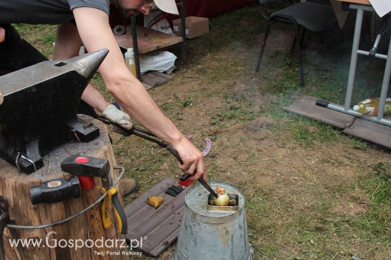  XX Targi Rolnicze Lubniewice