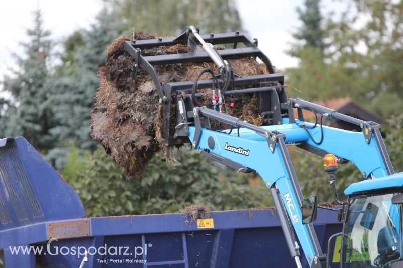 Pokazy Polowe z firmą Bogart