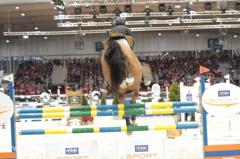 CAVALIADA 2013 w Poznaniu