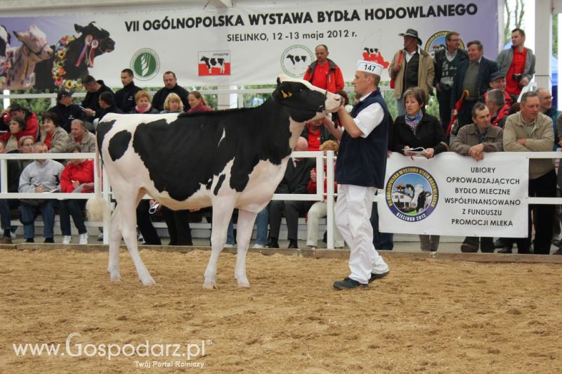 VII Ogólnopolska Wystawa Bydła Hodowlanego - Sielinko 2012