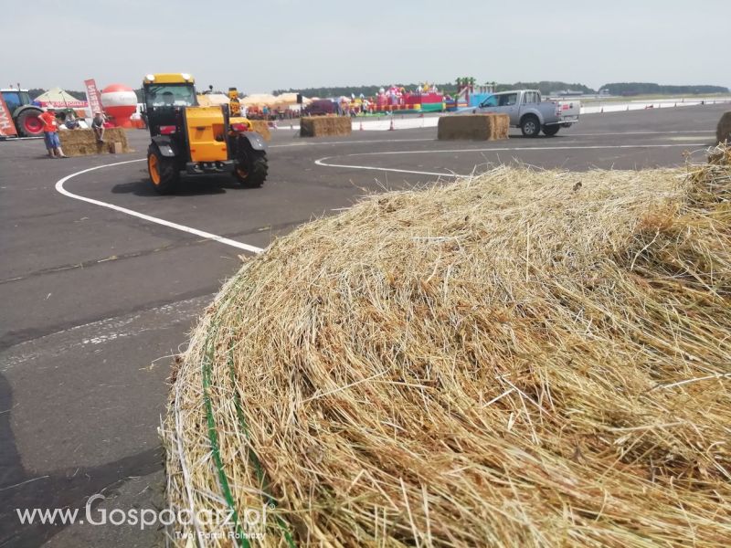 Turniej Precyzyjny Gospodarz Opolaga 2019 Sobota