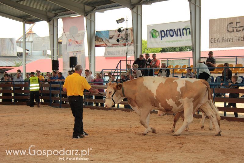 XVIII Regionalna Wystawa Zwierząt Hodowlanych i Dni z Doradztwem Rolniczym w Szepietowie - Sobota