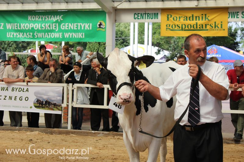 Czempioni XVII Regionalnej Wystawy Zwierząt Hodowlanych Sielinko 2011