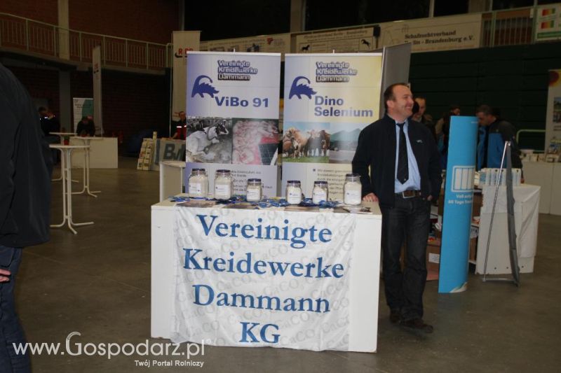 Wystawa  Blickpunkt Rind 2013 w miejscowości Paaren/Glien (Niemcy)