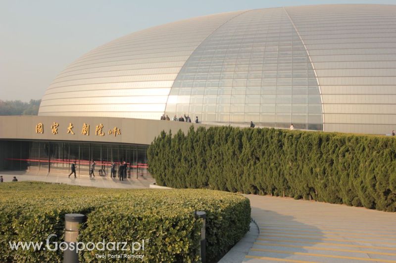 Gospodarz.pl w Chinach