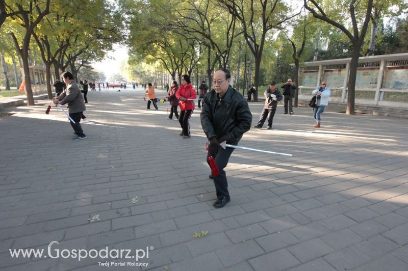 Gospodarz.pl w Chinach