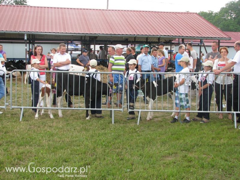 Bydło - Szepietowo 2012 XIX Regionalna Wystawa Zwierząt Hodowlanych