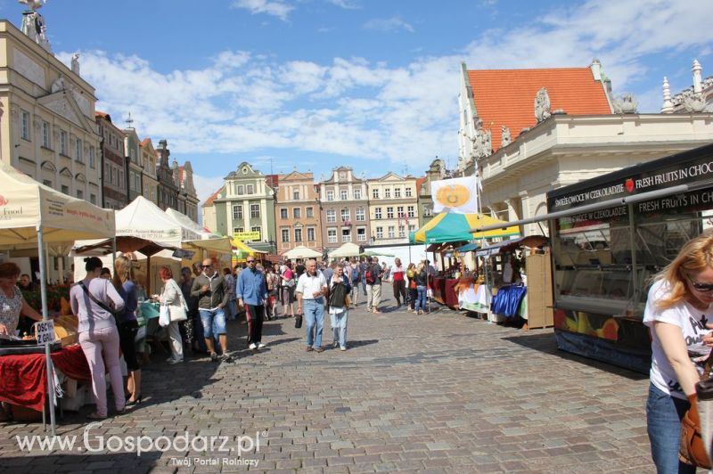 VI Ogólnopolski Festiwal Dobrego Smaku
