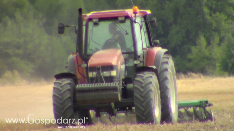 Talerzowane 2013 