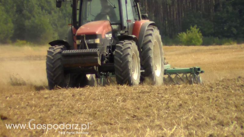 Talerzowane 2013 