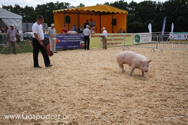 AGRO-TECH w Minikowie 2013