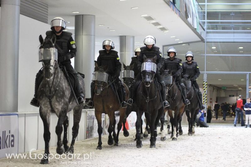 CAVALIADA 2013 w Poznaniu