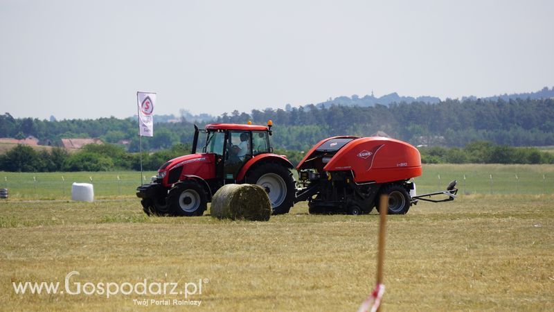 Pokazy polowe podczas targów OPOLAGRA 2015