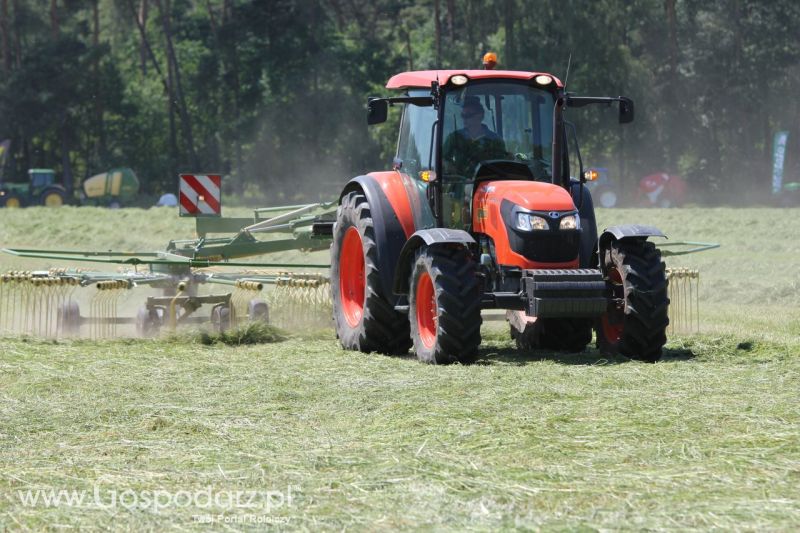 Zielone AGRO SHOW – POLSKIE ZBOŻA 2014 w Sielinku - sobota