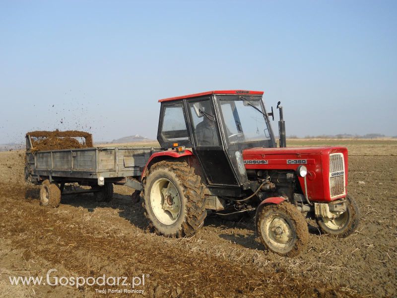  Piotrek9095