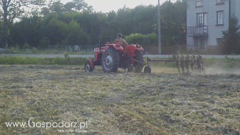 Sianokosy 2013