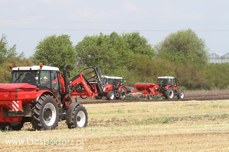 Majówka z Zetorem w Brzeziu