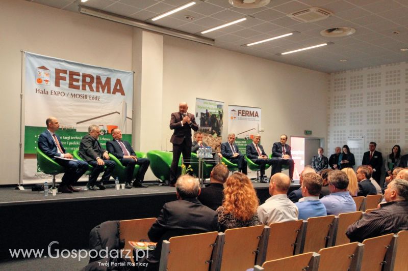 Ferma 2019 dzień 1