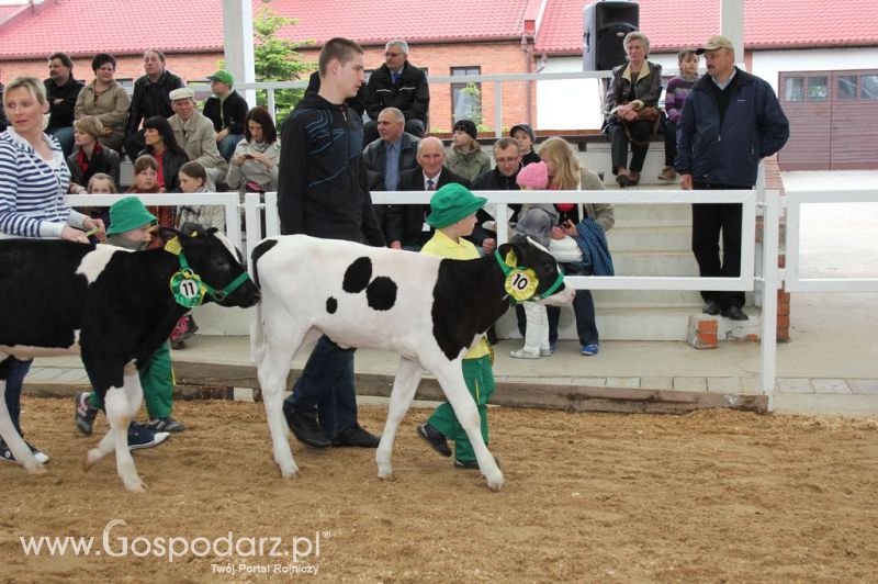 Mali Hodowcy VII Ogólnopolska Wystawa Bydła Hodowlanego w Sielinku 2012