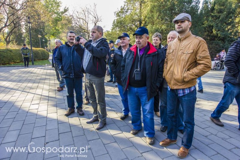 Gospodarz.pl w Chinach