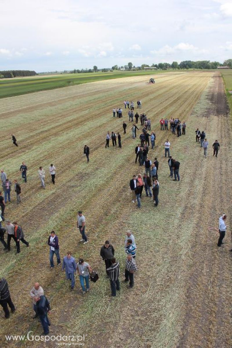 Pokazy polowe Romanów k/Krotoszyna