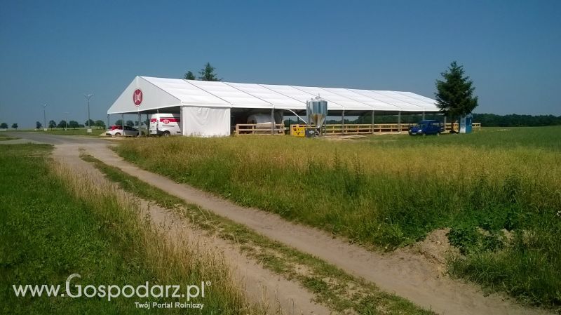 Wyposażanie obory na czas wystawy w Minikowie
