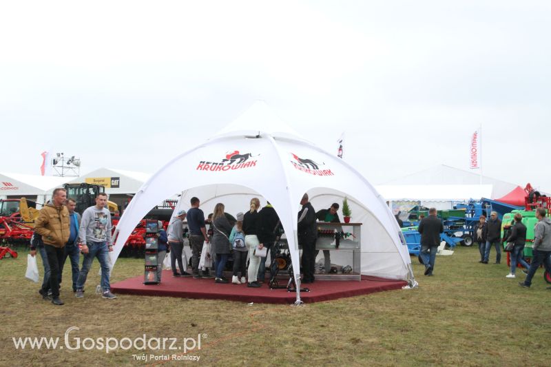 AGRO SHOW BEDNARY 2017 (Niedziela)