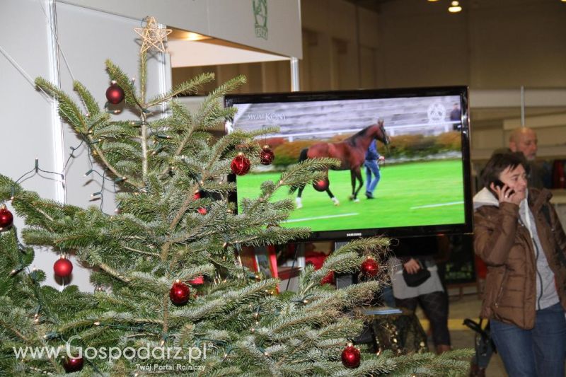 CAVALIADA 2013 w Poznaniu