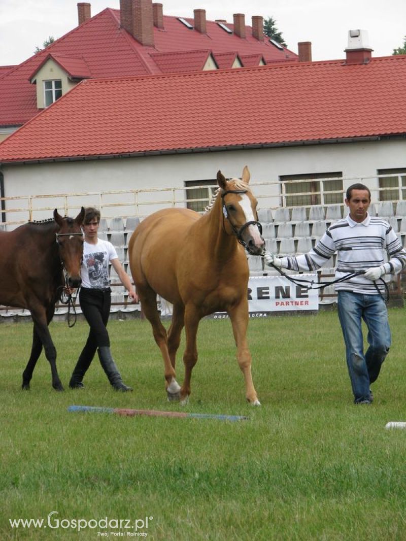 Wystawa Koni Sielinko 2011