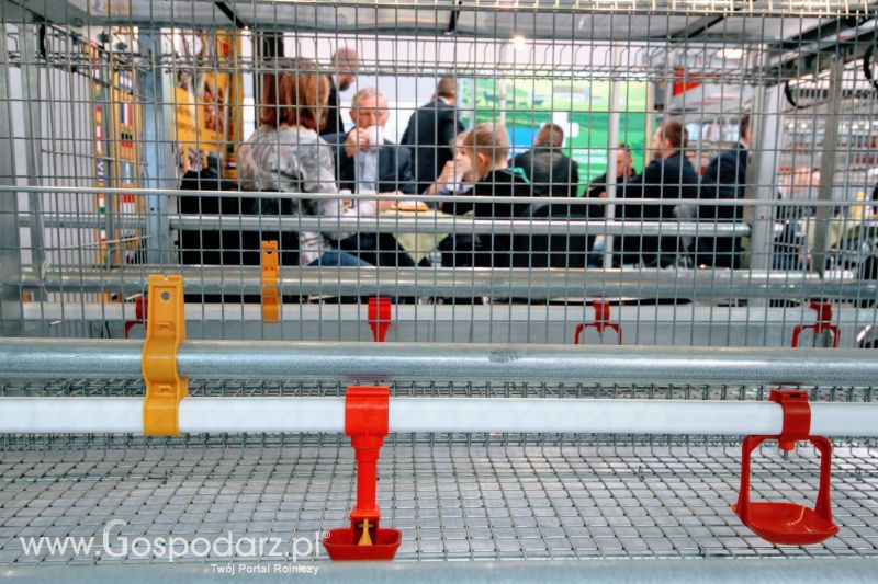 Ferma 2019 dzień 2