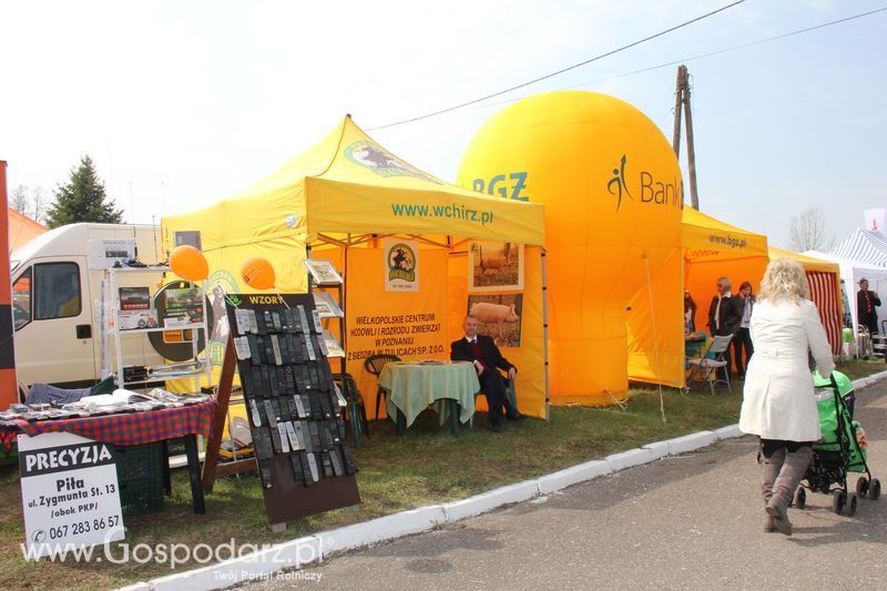 XX Agro-Targi 2011 w Starej Łubiance