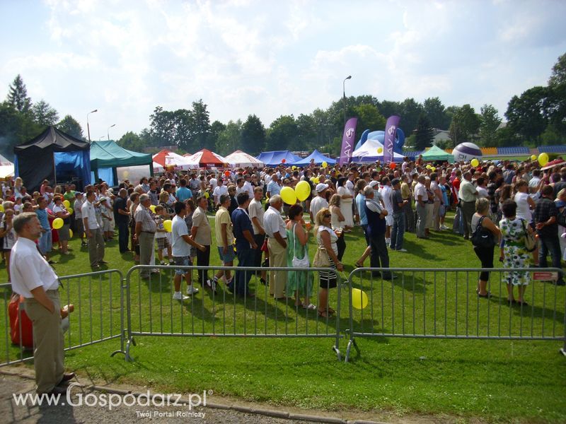 I Festiwal Mięsa Wieprzowego w Bełżycach