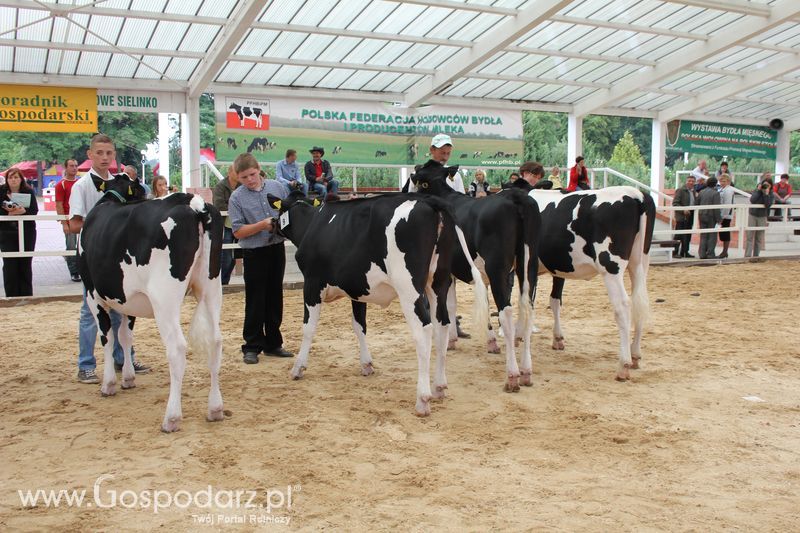 Wystawa bydła Sielinko 2011