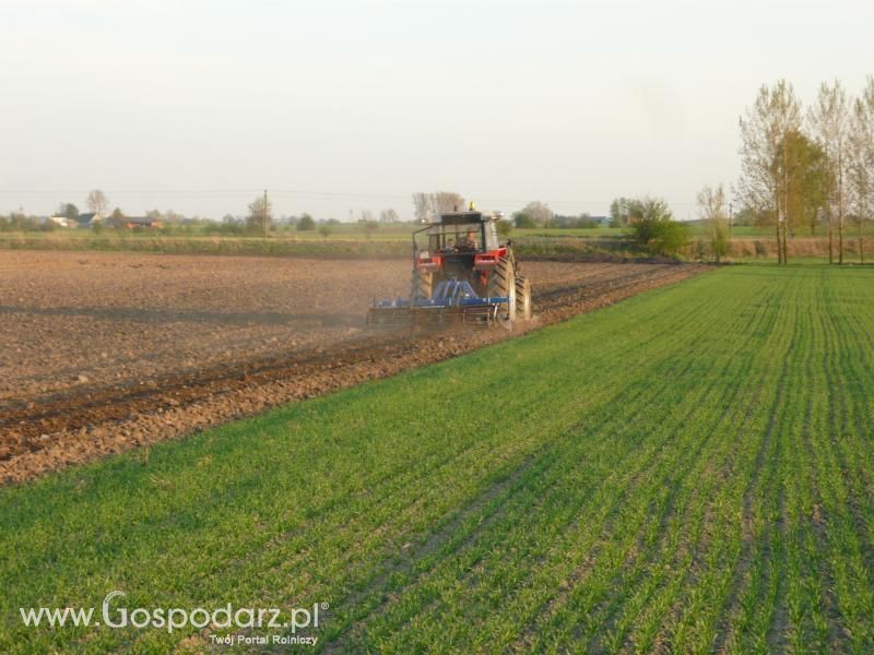 Wiosna 2012 z Ursusem 1014 de luxe + Rolmako 