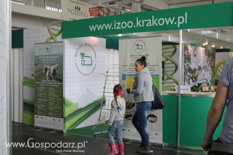 XXVI Krajowa Wystawa Zwierząt Hodowlanych - sobota i niedziela