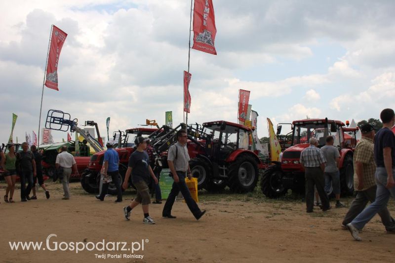 MASTER PŁODOWSCY I WSPÓLNICY SP. J. - Szepietowo 2013