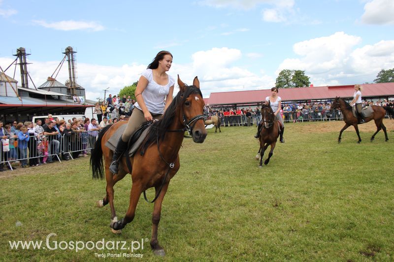 XVIII Regionalna Wystawa Zwierząt Hodowlanych i Dni z Doradztwem Rolniczym w Szepietowie - Sobota