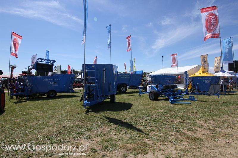 Gama Euromilk na Wystawie w Szepietowie 