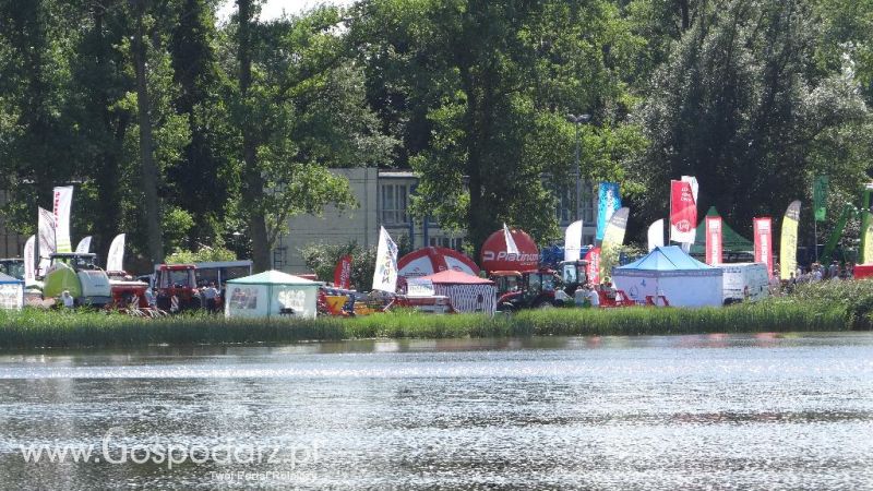 XVII Pałuckie Targi Rolne i XI Pałucka Wystawa Zwierząt Hodowlanych w Żninie