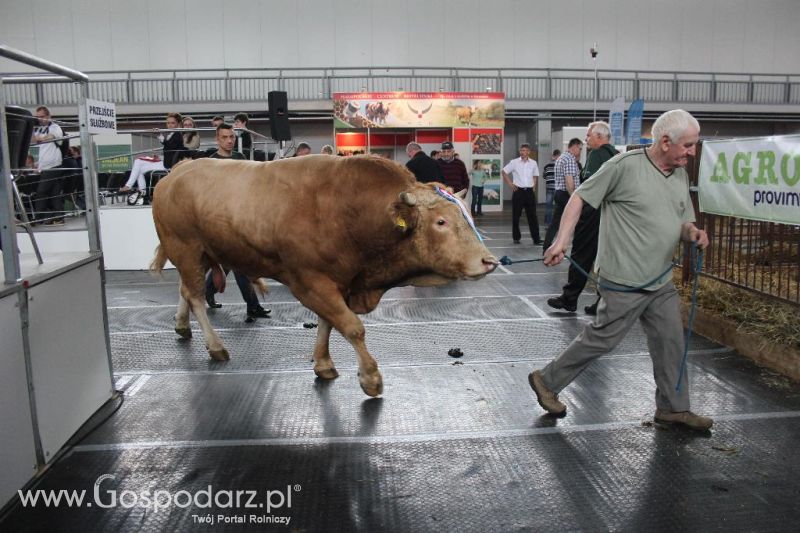 XXVI Krajowa Wystawa Zwierząt Hodowlanych - sobota i niedziela