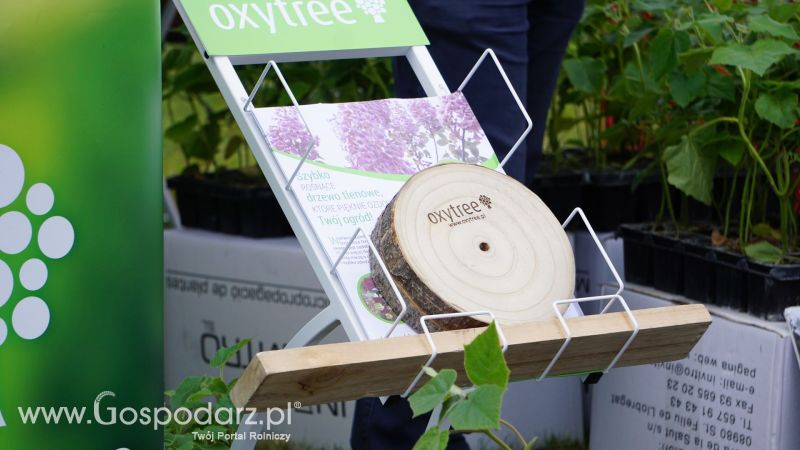 ZIELONE AGRO SHOW 2017 w Ułężu