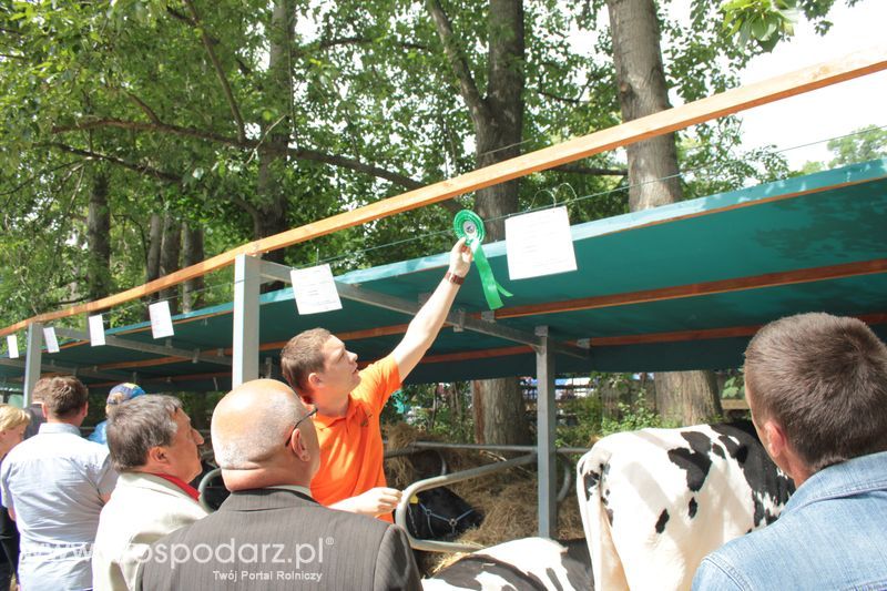  XX Targi Rolnicze Lubniewice
