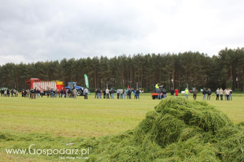 Pokazy maszyn Polskie Zboża Zielone Agro Show 2013