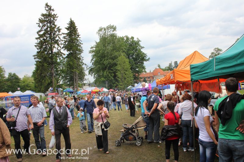  XX Targi Rolnicze Lubniewice