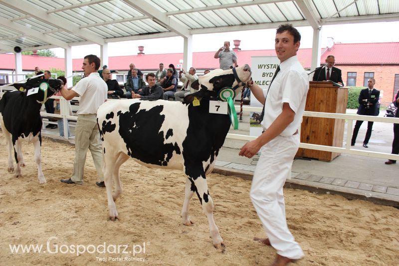 Wystawa bydła Sielinko 2011