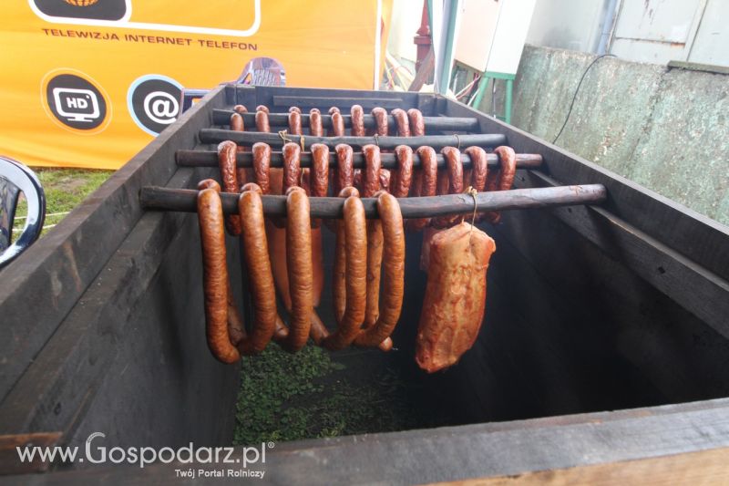 Festiwal Wieprzowiny w Bełżycach - niedziela