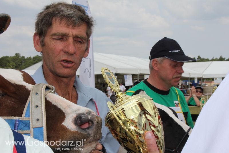 Superchampioni i championi Śląskiej Wystawy Bydła Mlecznego Opolagra 2011
