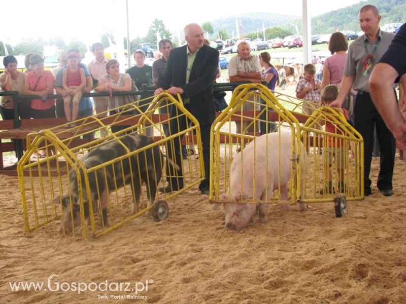 Krajowa Wystawa Ras Rodzimych Rudawka Rymanowska 2012 dzień 2