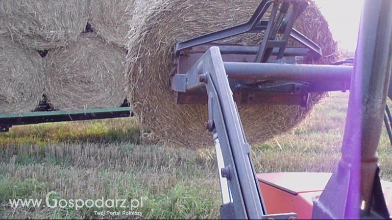 Zbiór Słomy 2013